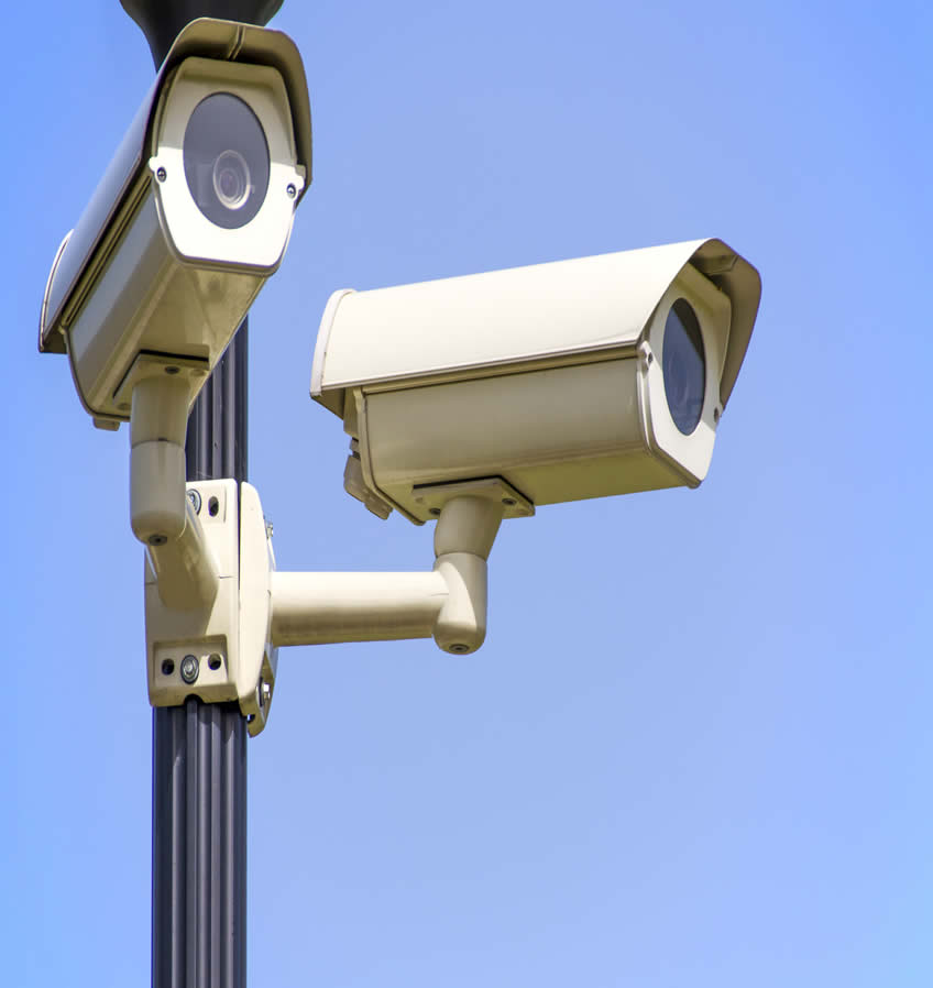 Security Professional