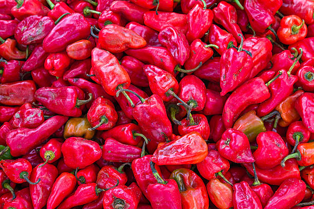 Bell Peppers